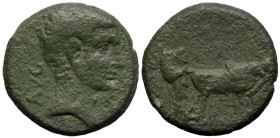 Roman Provincial
MACEDON. Philippi. Augustus (27 BC-14 AD).
AE Bronze (17.8mm 4.21g).
Obv: AVG Bare head of Augustus to right.
Rev: Two founders d...