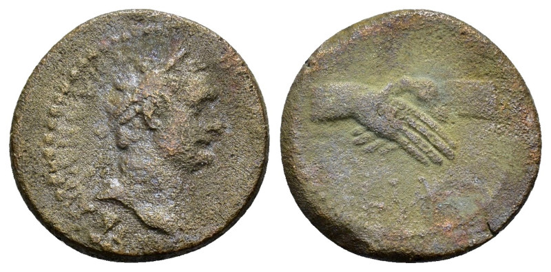 EGYPT. Alexandria. Hadrian (117-138).Ae.

Condition : Good very fine.

Weight : ...