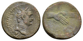 EGYPT. Alexandria. Hadrian (117-138).Ae.

Condition : Good very fine.

Weight : 3.4 gr
Diameter : 18 mm