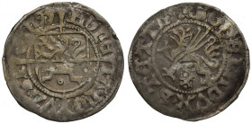 Pommern, Duchy of Stettin, Bugslaus X, 1,5 Groschen 1504, Stettin R1