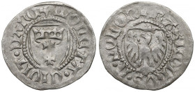 Casimir IV Jagellon, Schilling without date, Danzig R2