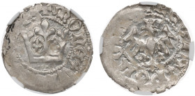 Vladislaus II, halfgroat - NGC MS62