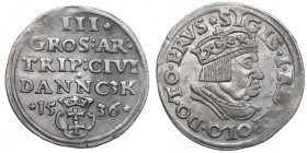 Sigismund I, 3 groschen 1536, Danzig R1/R3