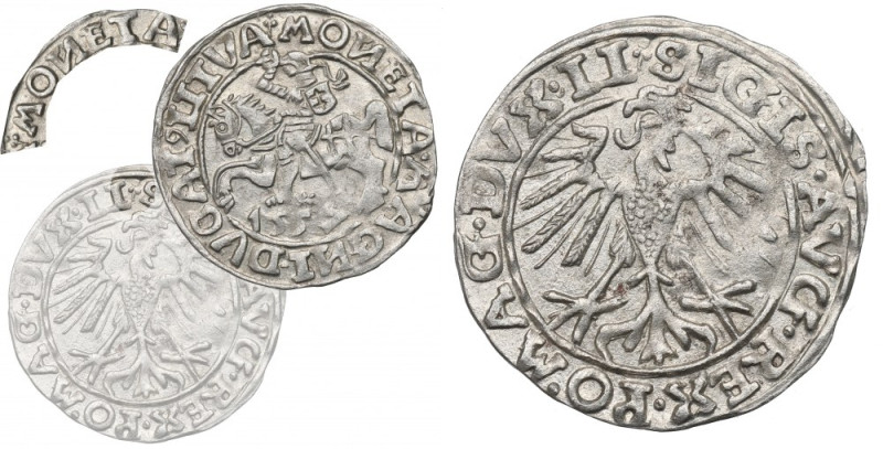 Sigismund II Augustus, Half-groat 1557, Vilnius Pięknie zachowany egzemplarz rza...