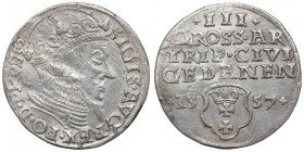 Sigismund II Augustus, 3 Groschen 1557, Danzig R2/R3