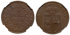 November Uprising, 3 groschen 1831 - NGC MS64 BN