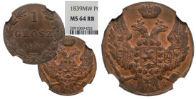 Poland under Russia, Nicholas I, 1 groschen 1839 - NGC MS664 RB 2-MAX