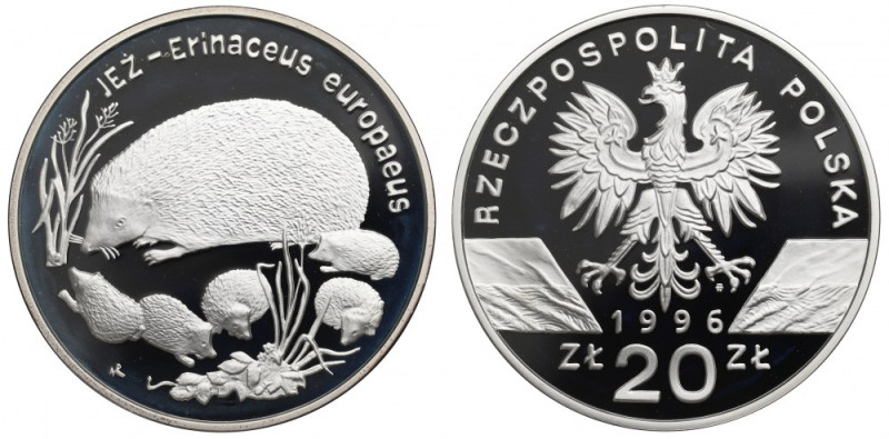 III RP, 20 złotych 1996 - Jeż Patyna. 
Grade: Proof 

 Polen, Poland