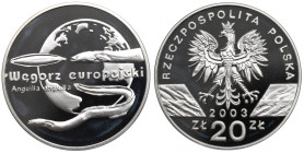 III RP, 20 złotych 2003 Węgorz europejski