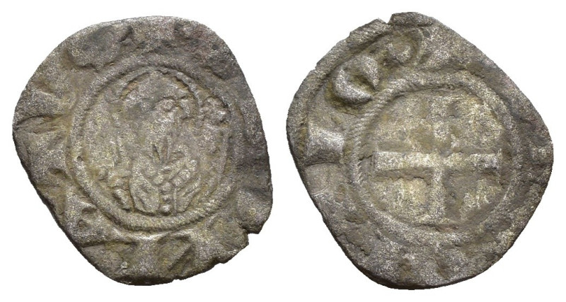 Arezzo - 1 Denaro Piccolo - Repubblica (1230 - 1250) - Gr. 0,53 - MIR# 9

MB
...