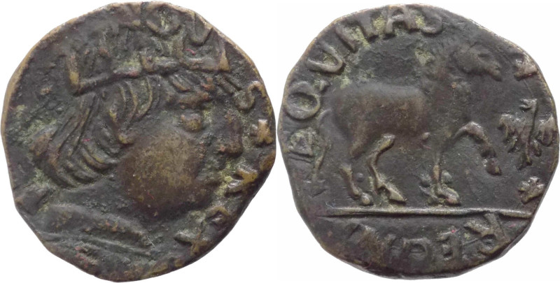 L'Aquila - Ferdinando I (1458-1494) - 1 Cavallo "Post Ribellione" - CNI 288-289 ...