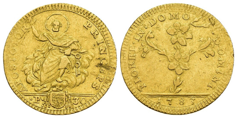 Roma - 1 Doppia Romana da 30 Paoli 1783 - Pio VI (1775 - 1799) - Au. 916,66 - RA...