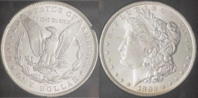 Stati Uniti d'America (dal 1776) - Dollaro "Morgan" 1882 CC Carson City - KM#810 - RARISSIMO - Ag - in  - Alta conservazione