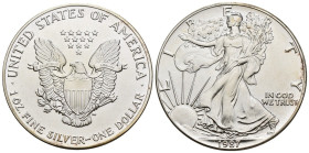 Stati Uniti d'America (1776-oggi) - 1 Dollaro 1987 - Aquila d'Argento - 1 OZ Ag. 999 - in astuccio