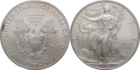Stati Uniti - USA - dollaro American Silver Eagle 2008