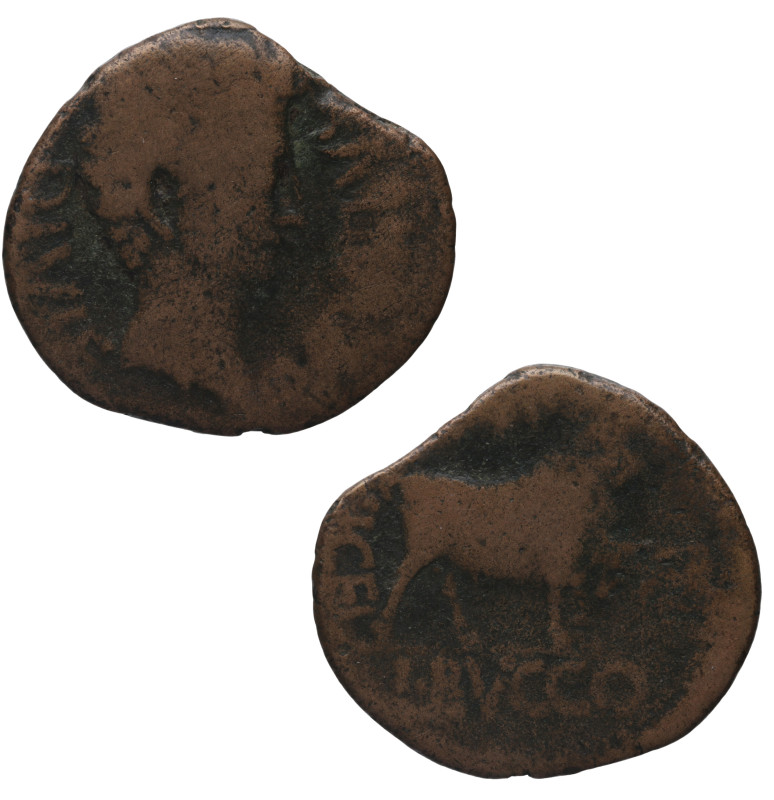 27 a.C.-14 d.C. Kelse. Velilla del Ebro (Zaragoza). As. Ae. 9,99 g. Cabeza de Au...