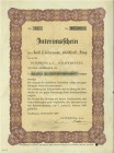 HISTORISCHE WERTPAPIERE. SCHWEIZ. Banken, Finanz und Versicherungen. Interfina AG. Interimsschein, 1938, Schaffhausen. Lot 2 Stück. Unterschiedliche N...
