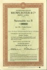HISTORISCHE WERTPAPIERE. SCHWEIZ. Industrie / Energie. Brown, Boveri & Cie. Namenaktie Fr. 100.-, 1941, Baden. Sehr schön / Very fine. (~€ 35/USD 40)...