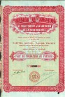 HISTORISCHE WERTPAPIERE. SCHWEIZ. Diverse. Société Le Dioradin pour le traitement & la Guérison de la Tuberculose. Part de Fondateur au Porteur, 1911,...