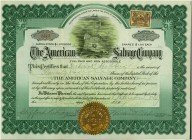 HISTORISCHE WERTPAPIERE. USA. American Salvage Company. Share Certificate $1 each, 1917. Frühes Bergungsunternehmen. Grosse Vignette mit Bergungsschif...