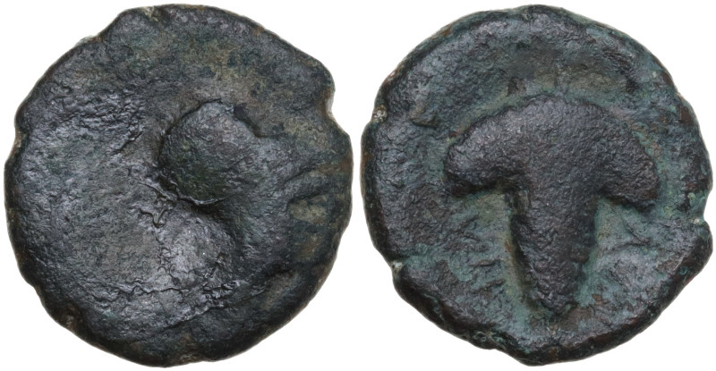 Italy, Northern Apulia, Arpi, c. 215-212 BC. Æ (15mm, 3.20g). Helmeted head of A...