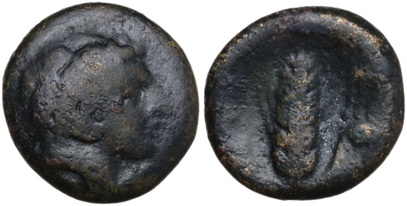 Italy, Southern Lucania, Metapontion, c. 300-250 BC. Æ (14mm, 2.60g). Head of He...