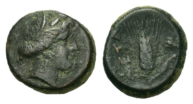 Italy, Lucania, Metapontion, c. 300-250 BC. Æ (15mm, 3.25g). Head of Demeter r.,...