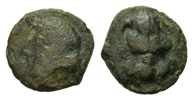 Italy, Bruttium, Rhegion, c. 350-280 B.C. Æ (11mm, 1.7g). Facing lion's scalp. R...