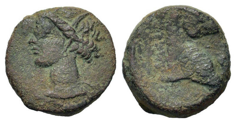 Carthaginian Domain, Sardinia, c. 220-215 BC. Æ (17,9mm, 5.64g). Wreathed head o...