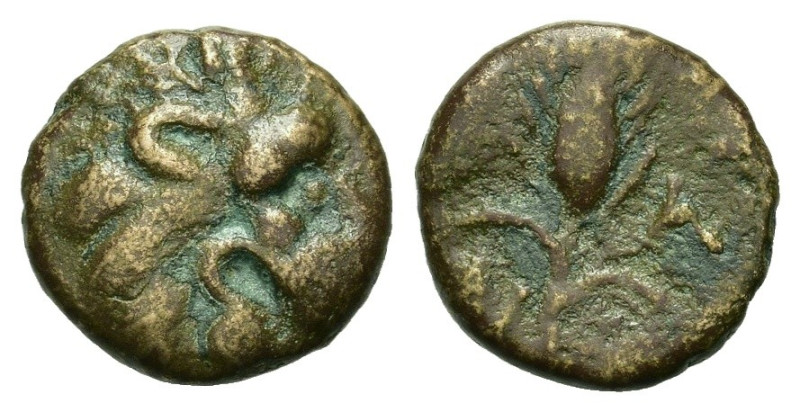 Thrace, Lysimacheia. Circa 225-198 BC. Æ (13mm, 2.27g). Lion head to r. R/ Barle...