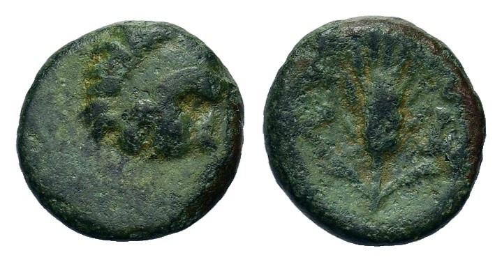 Thrace, Lysimacheia. Circa 225-198 BC. Æ (10mm, 0.98g). Lion head to r. R/ Barle...