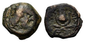Ptolemaic Kings of Egypt. Ptolemy VIII Apion (King of Kyrenaika c.104/1- 96 BC). Æ (14,2mm, 2.35g). Kyrene. (Zeus Ammon head r. R/ Isis headress. SNG ...