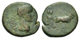 Tiberius (14-37). Macedon. Philippi. Æ (16,8mm, 4.28g). Bare head r. R/ Pontiff driving yoke of oxen r. plowing pomerium. RPC I 1657.