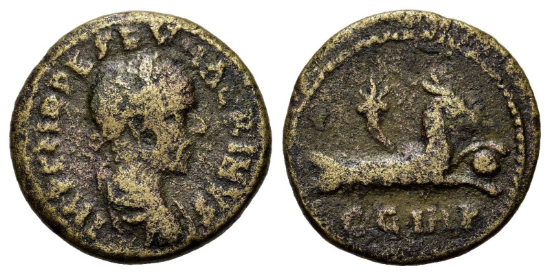Macrinus (217-218). Mysia, Parium. Æ (22,5mm, 5.12g). Laureate, draped and cuira...