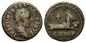 Macrinus (217-218). Mysia, Parium. Æ (22,5mm, 5.12g). Laureate, draped and cuirassed bust r. R/ Capricorn r. SNG BnF 1502.