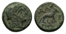 Thrace, Alopeconnesos. AE, 2,11 g 11,77 mm. ca. 4th-3rd centuries BC.
Obv.: Laureate head of Apollo right.
Rev.: ΑΛΩ-ΠΕΚΟΝ; Fox walking right, barley ...
