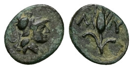 Thrace, Lysimacheia. Ae, 0.75 g 11.27 mm. Circa 309-220 BC.
Obv: Head of Athena right in Attic helmet.
Rev. Λ-Υ; Grain ear.
Ref.: SMB 18221929 and 182...