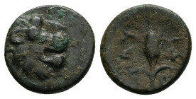 Thrace, Lysimacheia. Ae, 3.27 g 15.25 mm. Circa 309-220 BC.
Obv: Lion head right.
Rev. ΛΥ-ΣΙ; Grain ear. No visible symbols or monograms.
Ref.: SMB 18...