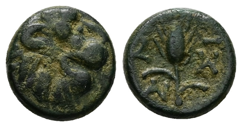 Thrace, Lysimacheia. AE, 3.01 g 13.91 mm. Circa 309-220 BC.
Obv: Lion head right...
