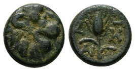 Thrace, Lysimacheia. AE, 3.01 g 13.91 mm. Circa 309-220 BC.
Obv: Lion head right.
Rev. ΛΥ-ΣΙ; Grain ear, AI monogram to left.
Ref.: SMB 18221823; HGC ...