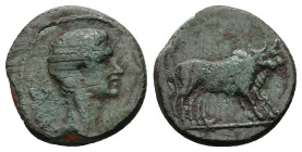 Macedon, Philippi, Augustus, 27 BC-AD 14. AE. 3.46 g. 18.63 mm.
Obv: AVG. Bare head of Augustus, right.
Rev: Two priests ploughing, right.
Ref: RPC 16...