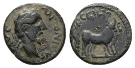 Mysia, Parium. Antoninus Pius, 138-161 AD. AE. 2.24 g. 15.30 mm.
Obv: ANTONINVS AVG. Laureate head of Antoninus Pius, right.
Rev: C G I H P. Founder a...