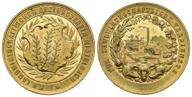 MEDAGLIE ESTERE – IMPERO AUSTROUNGARICO (KUK) - FRANCESCO GIUSEPPE I (1848-1916), medaglia non portativa emessa per il merito agricolo, al dritto FÜR ...