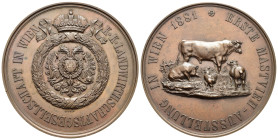 MEDAGLIE ESTERE – IMPERO AUSTROUNGARICO (KUK) - FRANCESCO GIUSEPPE I (1848-1916), VIENNA (WIEN), medaglia non portativa emessa per ricordare la prima ...