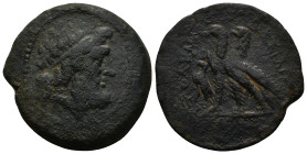 Ptolemaic Kings of Egypt, Ptolemy IX to Ptolemy XII (116-51 BC). Æ (31mm, 19.1 g). Alexandreia(?). Diademed head of Zeus-Ammon r. R/ Two eagles with t...
