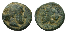 TROAS. Antandros. AE (4th-3rd centuries BC). (0.6 Gr. 8mm.)
 Laureate head of Apollo right. 
Rev. Head of lion right; grape bunch above. TROAS. Antand...