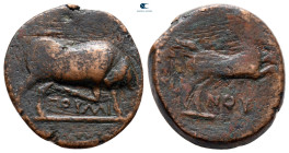 Apulia. Arpi circa 275-250 BC. Bronze Æ