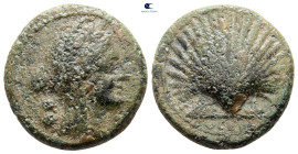 Apulia. Luceria circa 211-200 BC. Biunx Æ