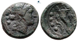 Lucania. Paestum circa 218-201 BC. Bronze Æ