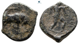 Lucania. Poseidonia circa 350-290 BC. Bronze Æ